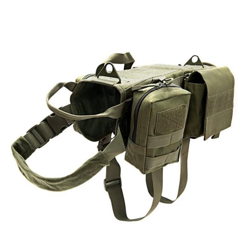 Variant image 4